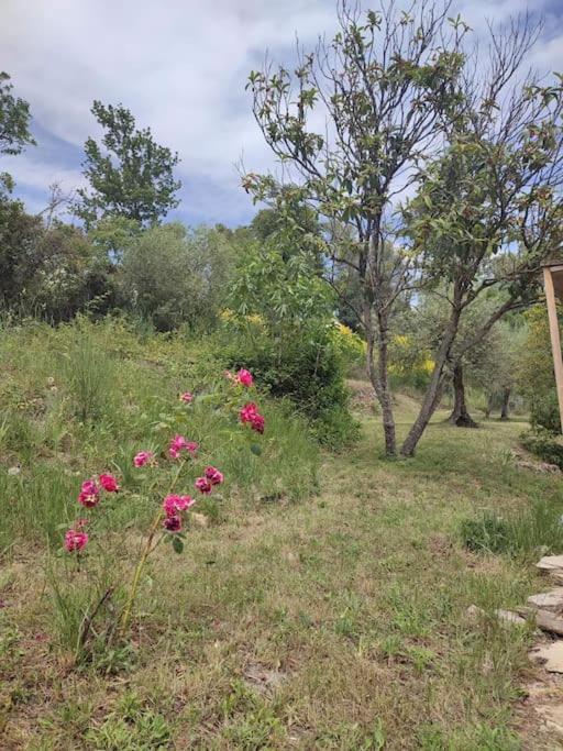 Auberge Des Esperels Rez De Maison Avec Jardin Figanières Exterior foto