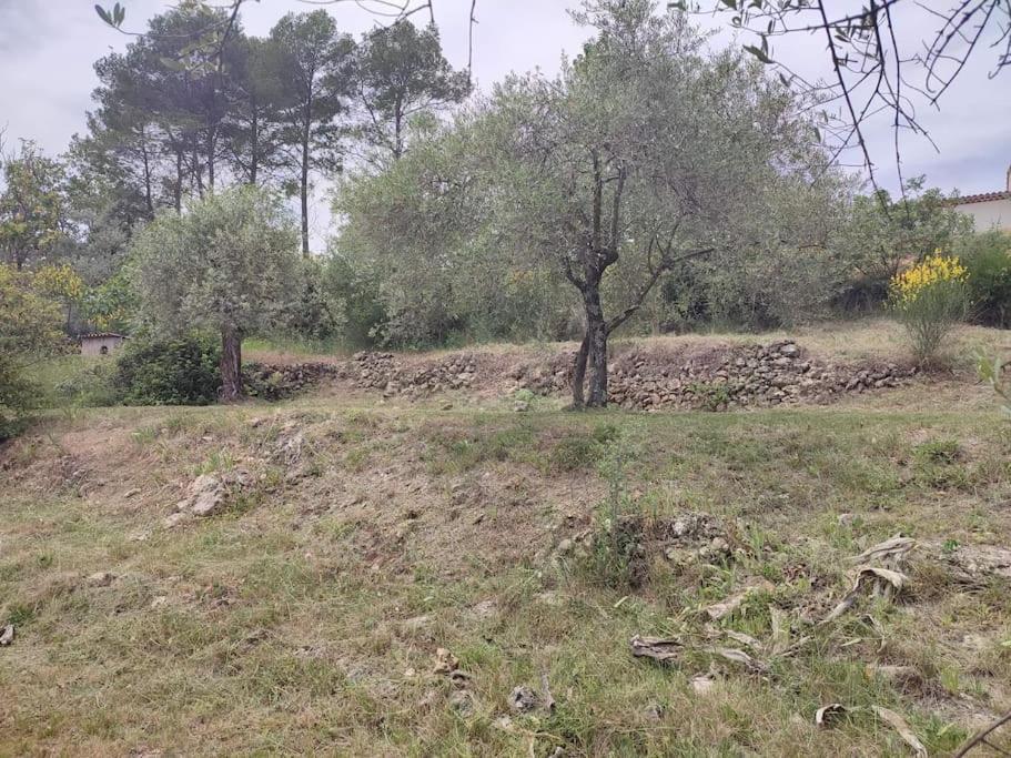 Auberge Des Esperels Rez De Maison Avec Jardin Figanières Exterior foto